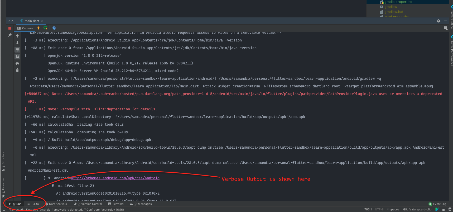 Verbose output of Flutter Run Project