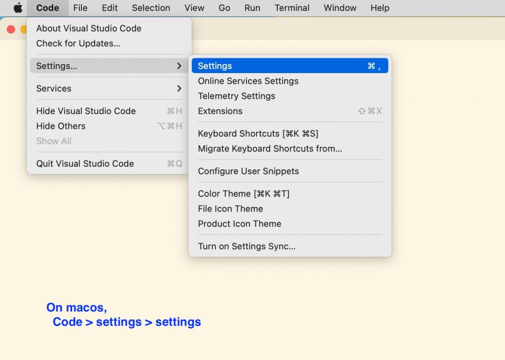 Open settings on visual studio code