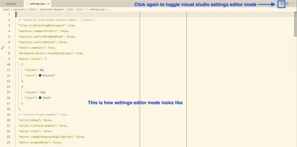 Figure 4. Visual studio code settings editor screen